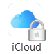 iCloud Secure button