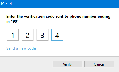 Option 1: Two-Step Verification via a text message on your phone (SMS).