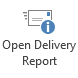 Open Delivery Report button