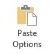 Paste Options button