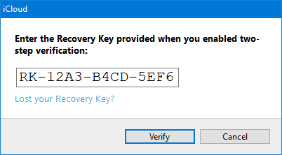 Option 2: Two-Step Verification via your Recovery Key.